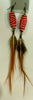 African bird Feather